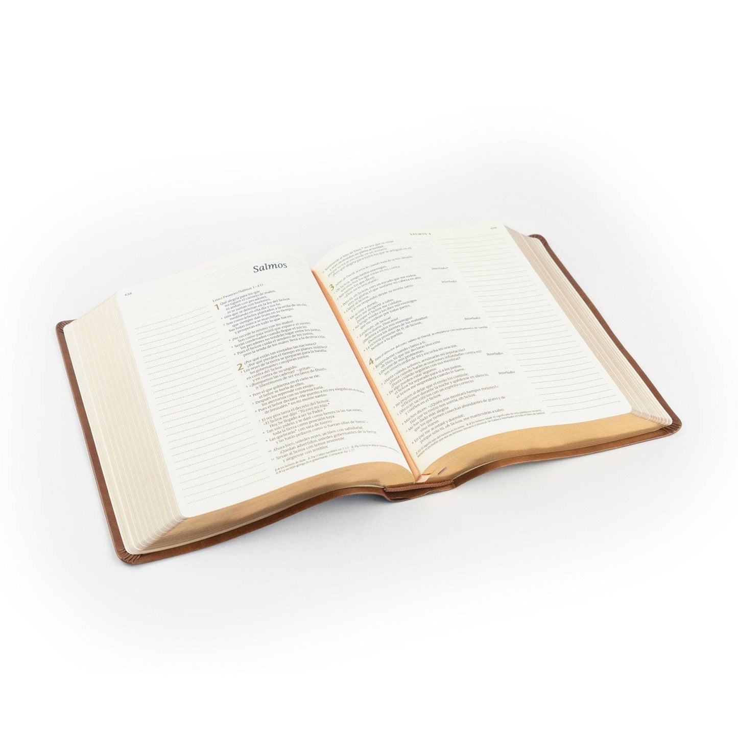 NTV Spanish Notetaking Bible: Aurora Theme