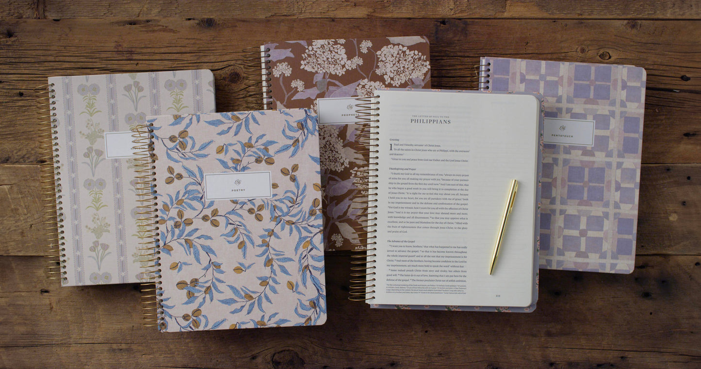 ESV Spiral-Bound Journaling Bible, Five-Volume Set, Artist