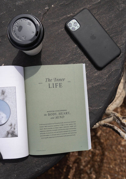 Proverbs: Walking in Wisdom Men's Reading Guide