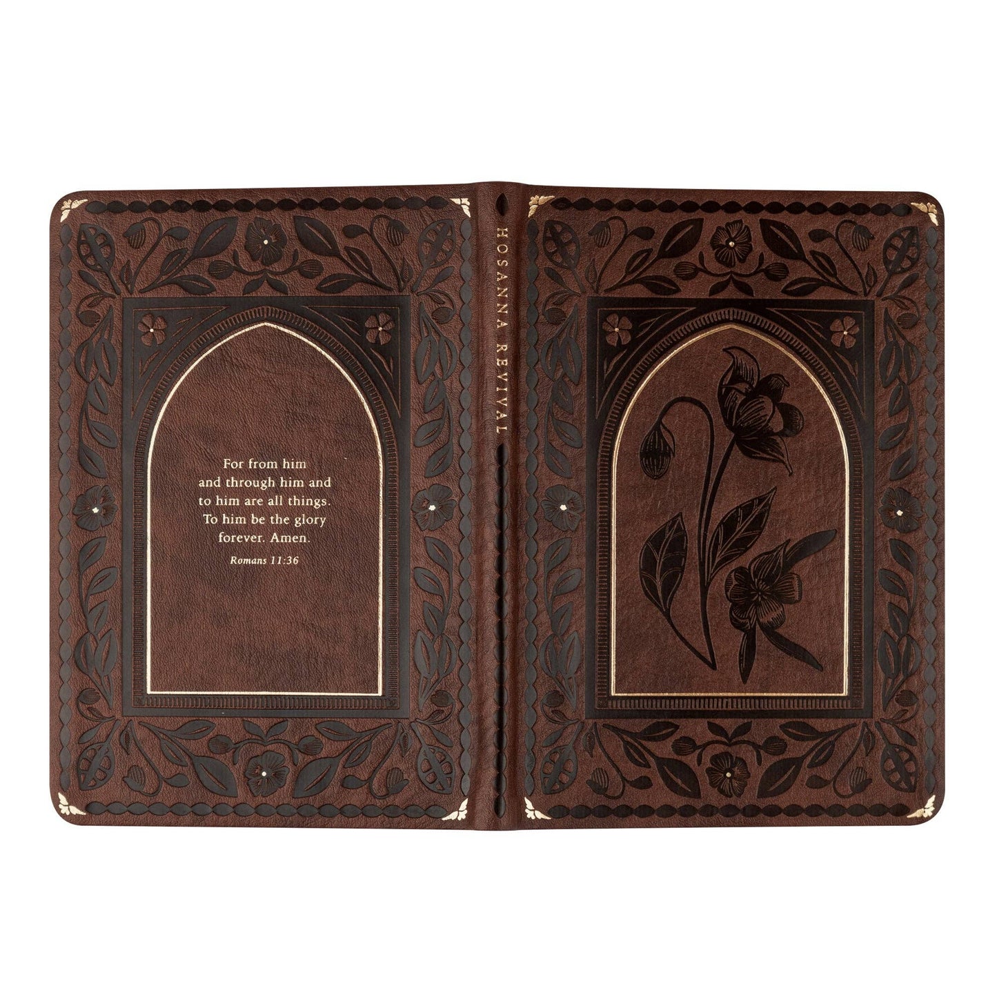 Notebook: Palma Theme