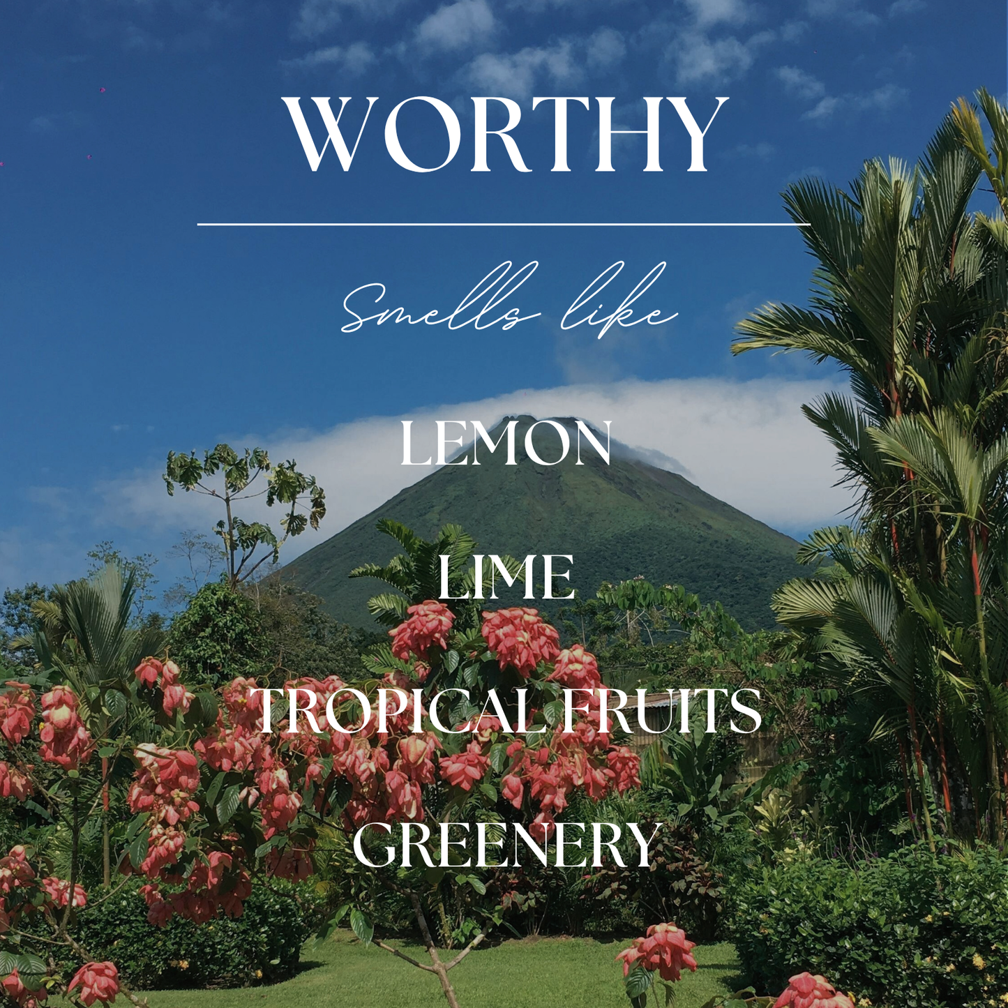 Worthy | Volcanic Island | 9 oz. Clear Jar Soy Candle: Natural Wood Lid