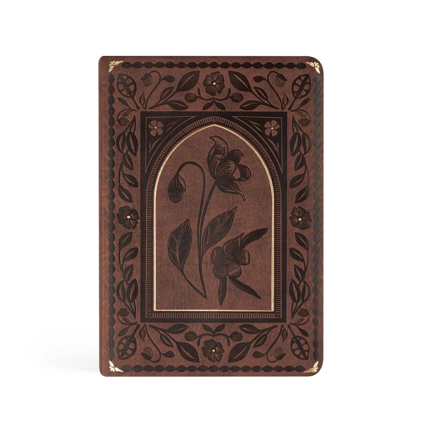 Notebook: Palma Theme