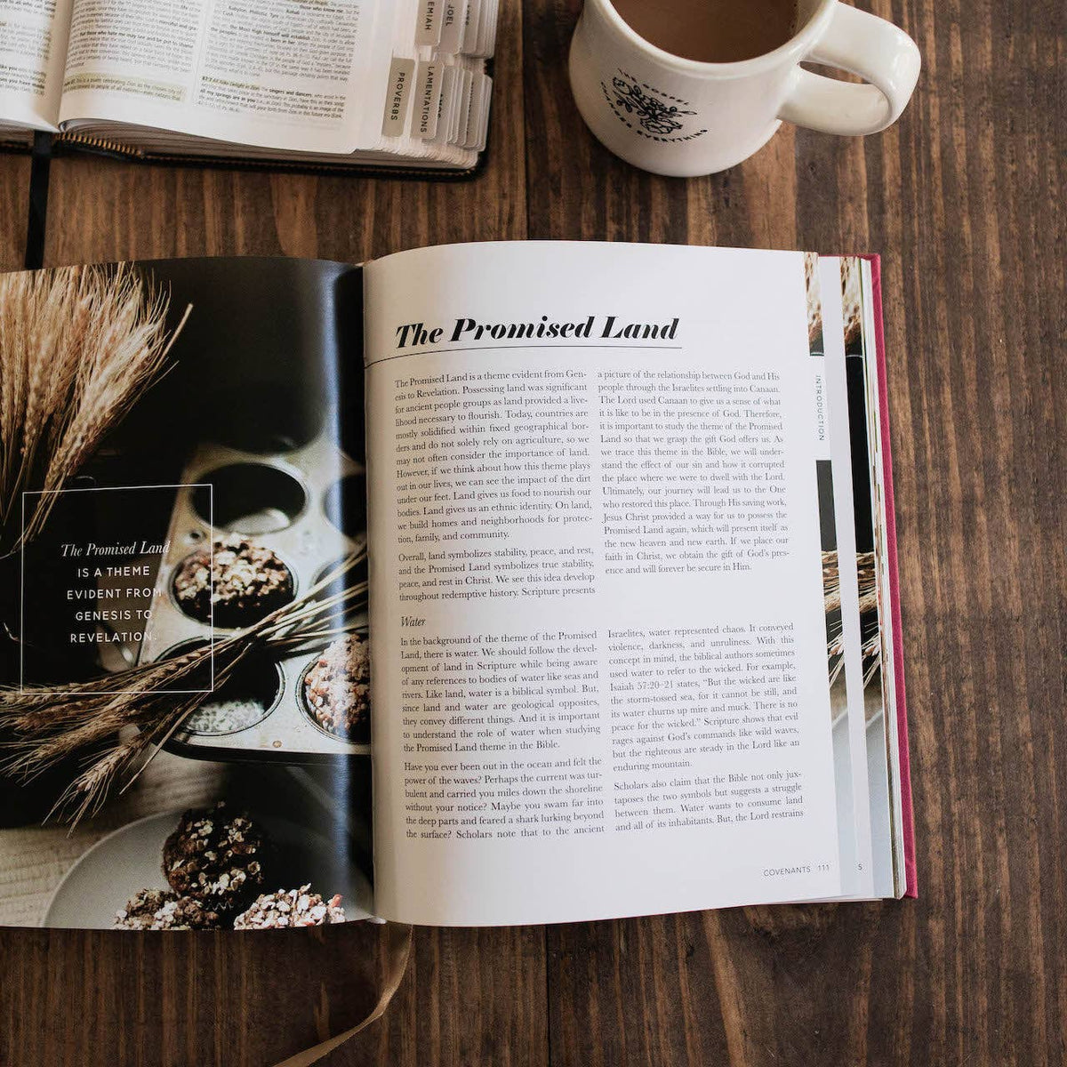 The Bible Themes Handbook | Coffee Table Book