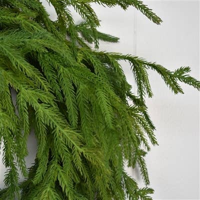 24” Natural Touch Norfolk Pine Wreath-real touch