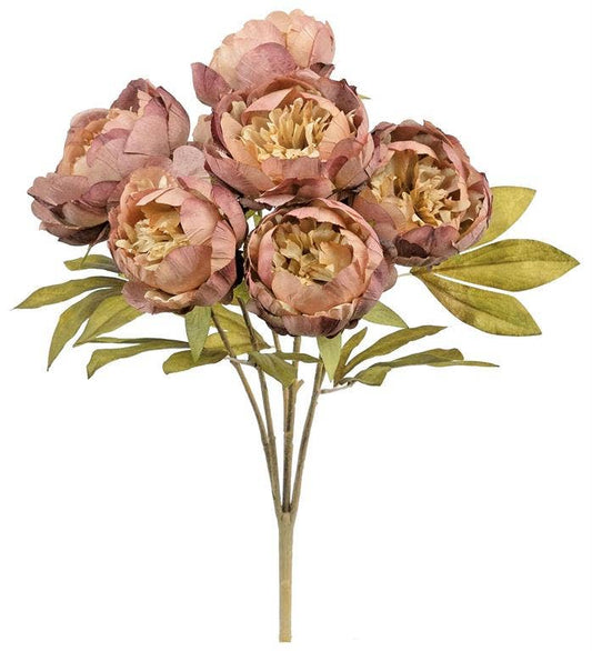 Autumn Peony Bush X7, #6106-RSMAU