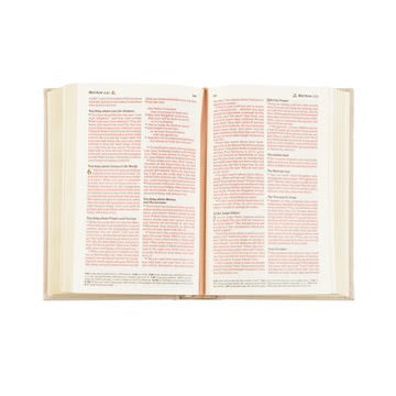 NLT Compact Bible: Casablanca Theme