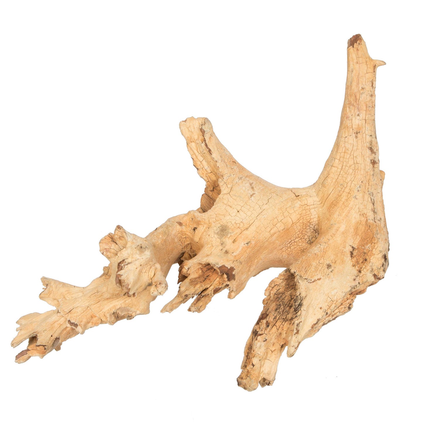 Vickerman 9-12" Bleached Amazonian Root Small 1Pc: Bleached / Wood / 9-12"