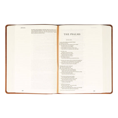 ESV Large Print Journaling Bible: Sierra Theme
