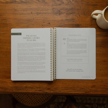 The Psalms Spiral Bible Study | Volume 2