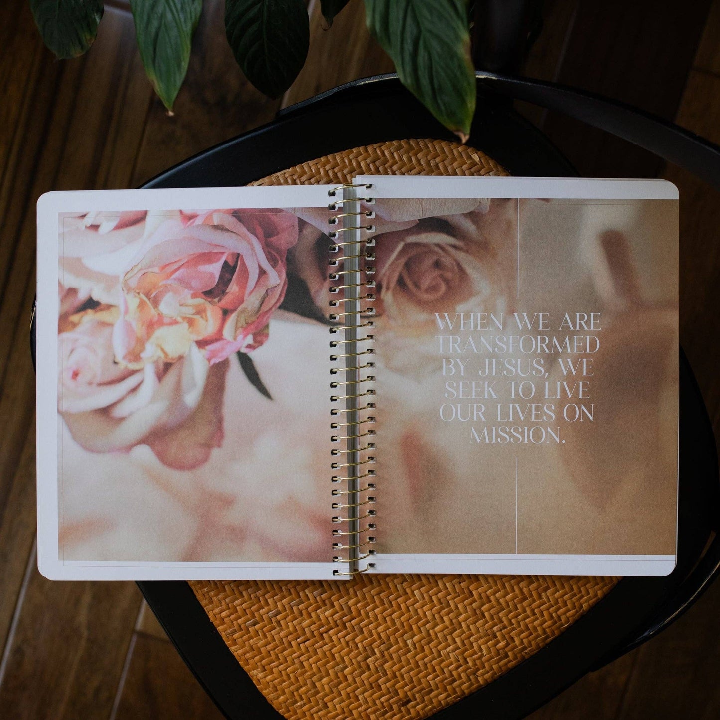 Eden to Eternity | The Chronological Story of Scripture | Volume 4 (Spiral Bound)