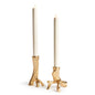Hyde Taper Holders - Set of 2