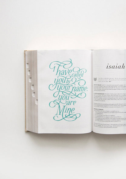 She Reads Truth Bible, Sand (Indexed)