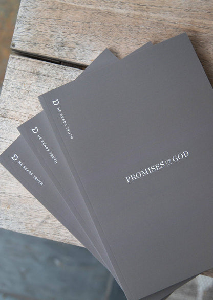 Promises of God Men's Reading Guide