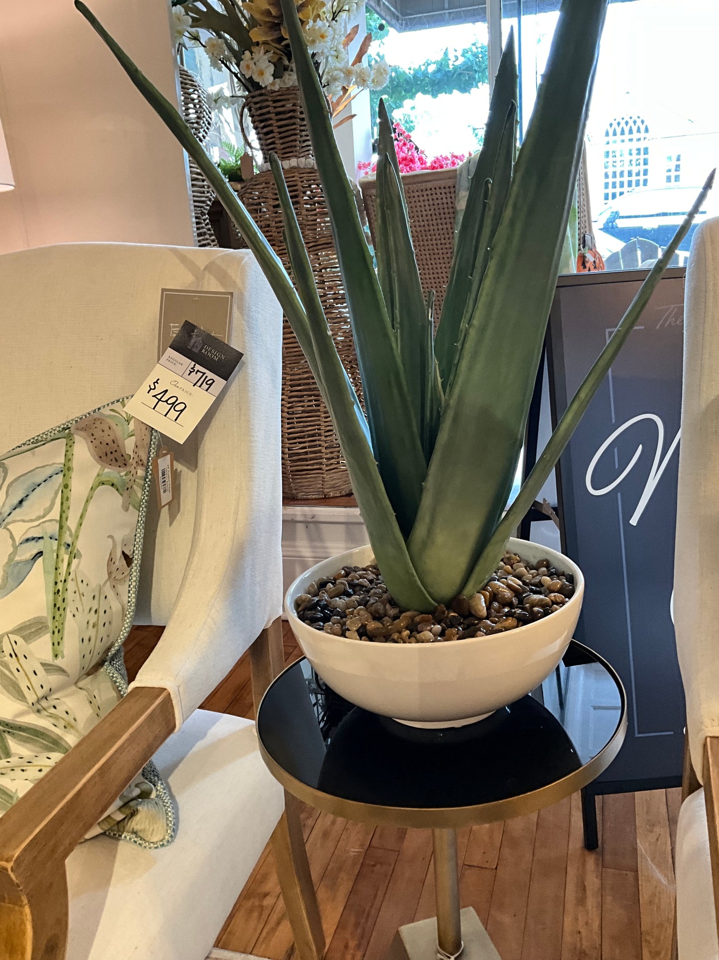 Evarado Aloe Planter