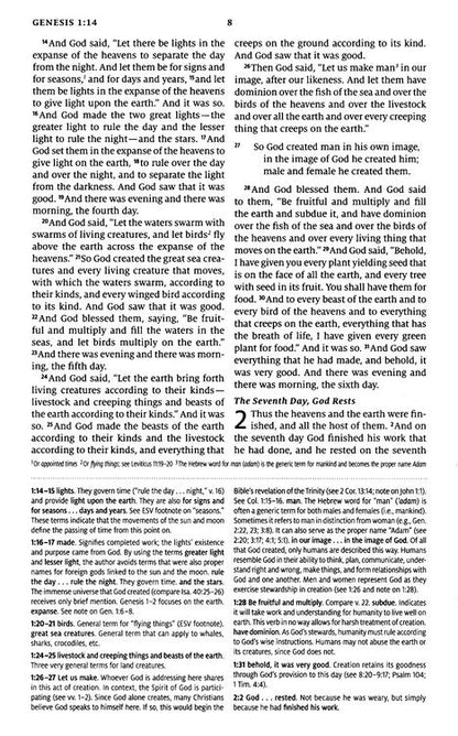 ESV Teen Study Bible Cliffside