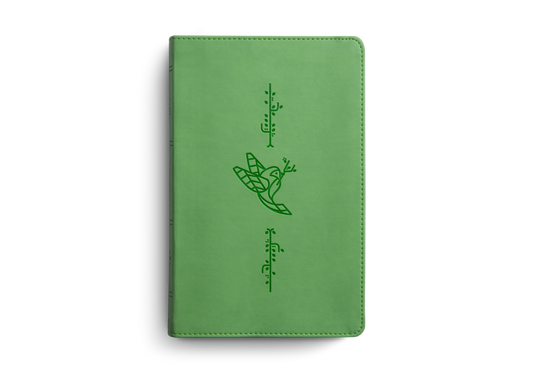ESV Kid's Thinline Bible: Green