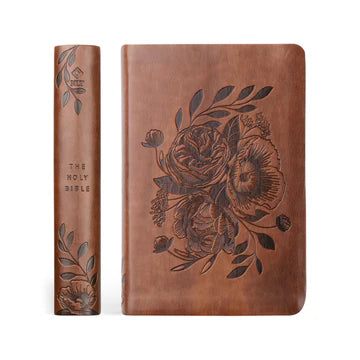 Aurora NLT Compact Bible