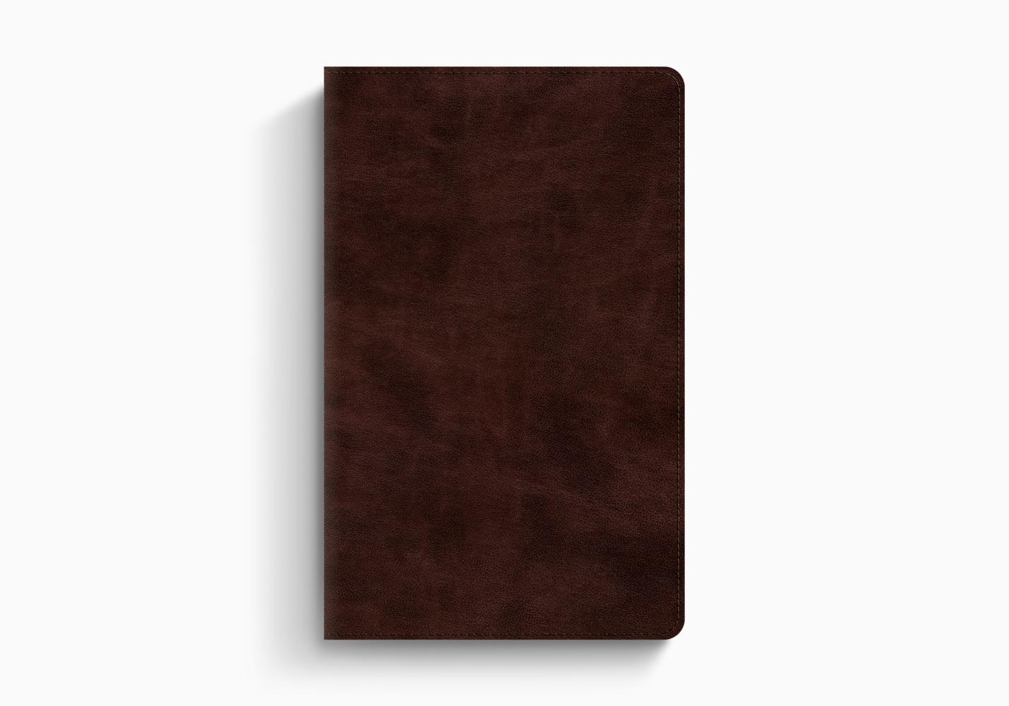 ESV Thinline Bible