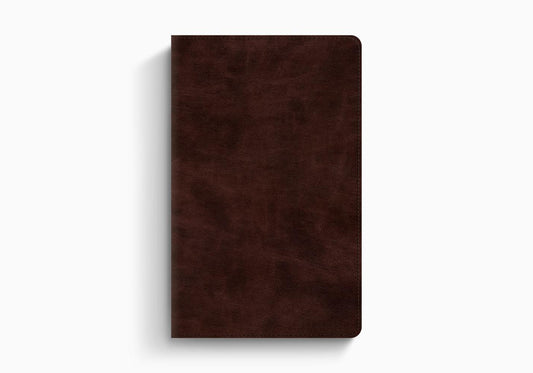 ESV Thinline Bible
