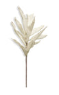 Ruscus Stem