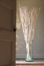 Set of 3 Bleached Willow Branches