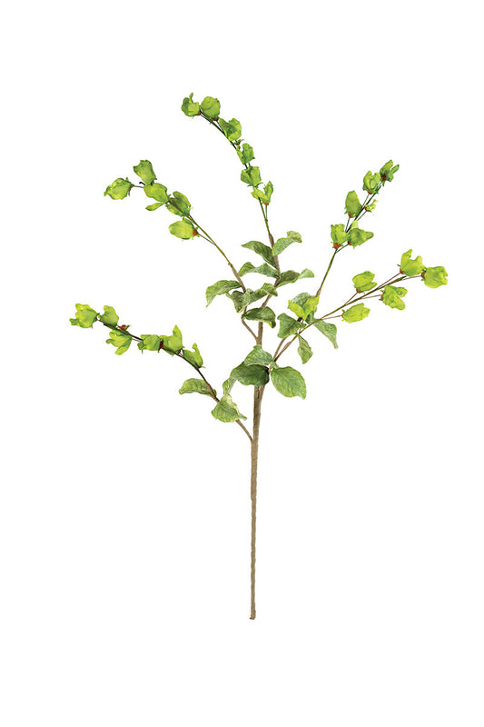 Green Leafy Limb