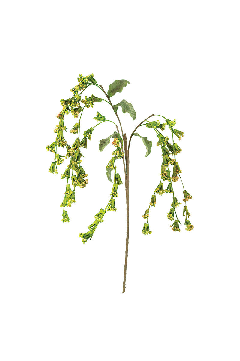 Green Frond