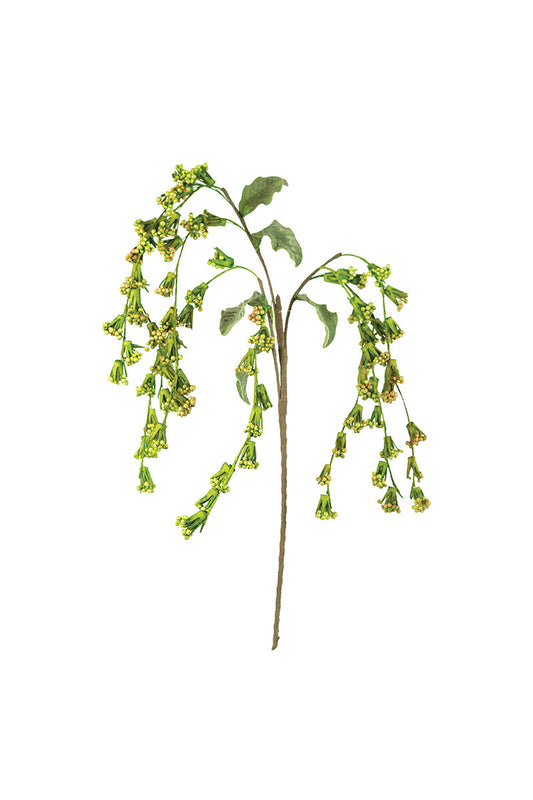 Green Frond