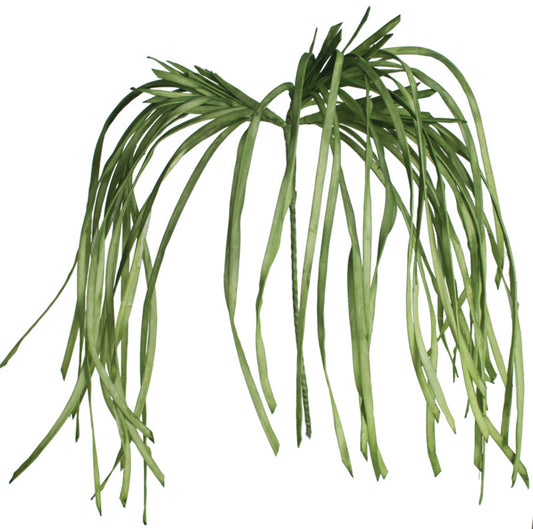 Green Flowing Stem