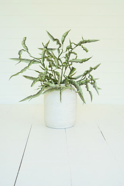 Green Leaf Stem