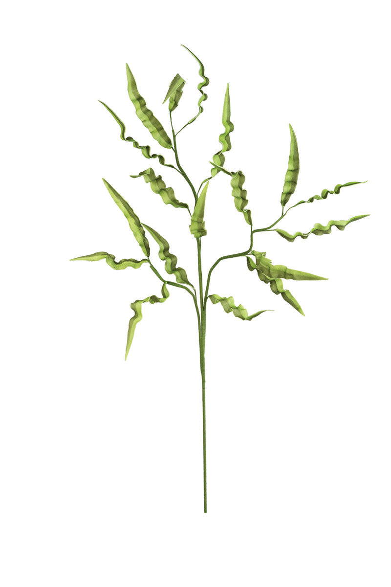 Green Leaf Stem