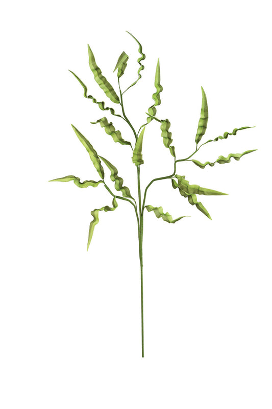 Green Leaf Stem