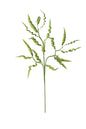 Green Leaf Stem