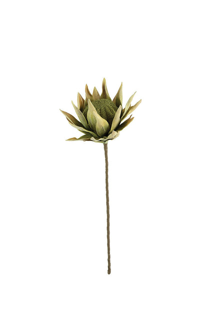 Green Floral
