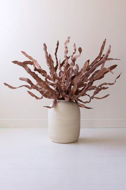 Light Brown Botanica
