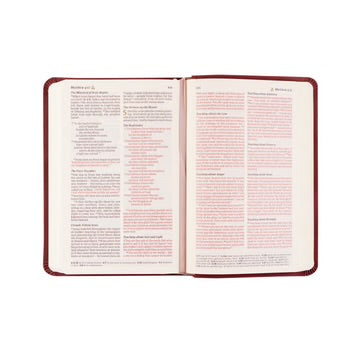 NLT COMPACT BIBLE: HELENA THEME
