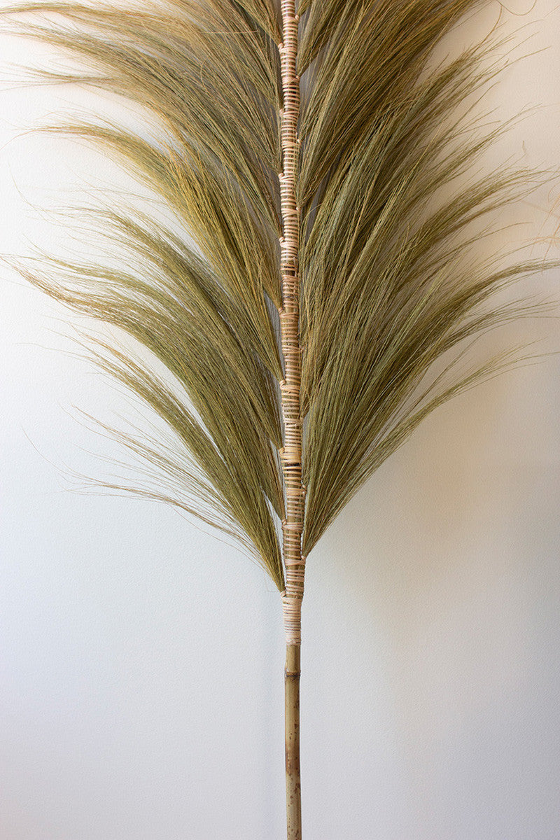 Decorative Fan Palms