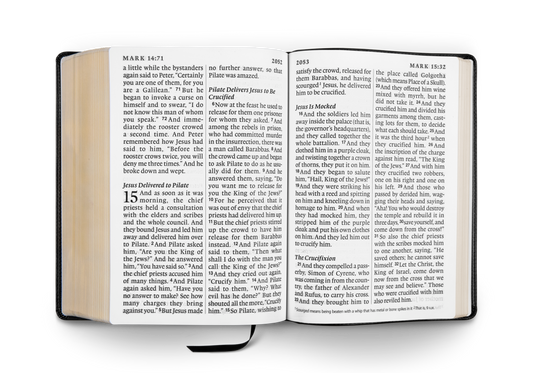 ESV Super Giant Print Bible