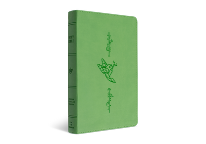 ESV Kid's Thinline Bible: Green