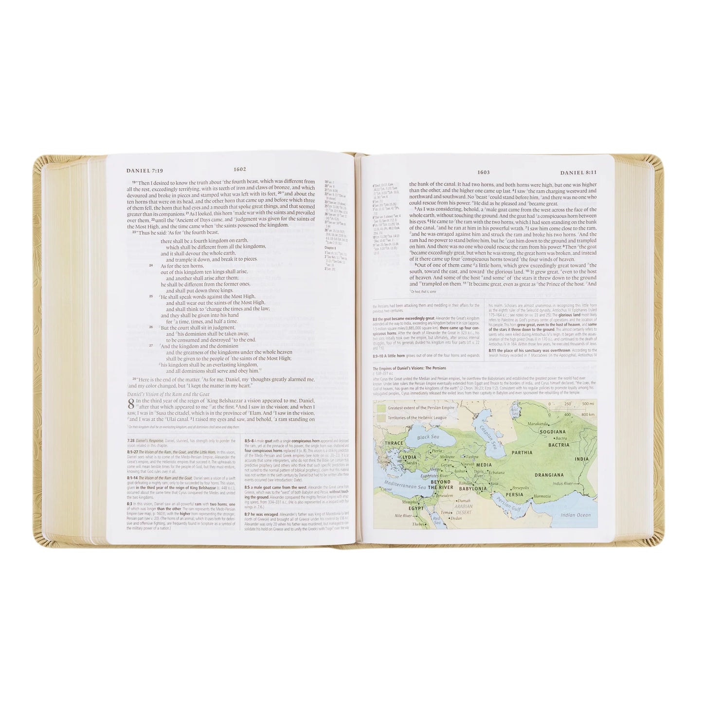 ESV Study Bible Sonora Theme