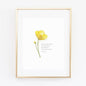 Romans 15:13 buttercup scripture print