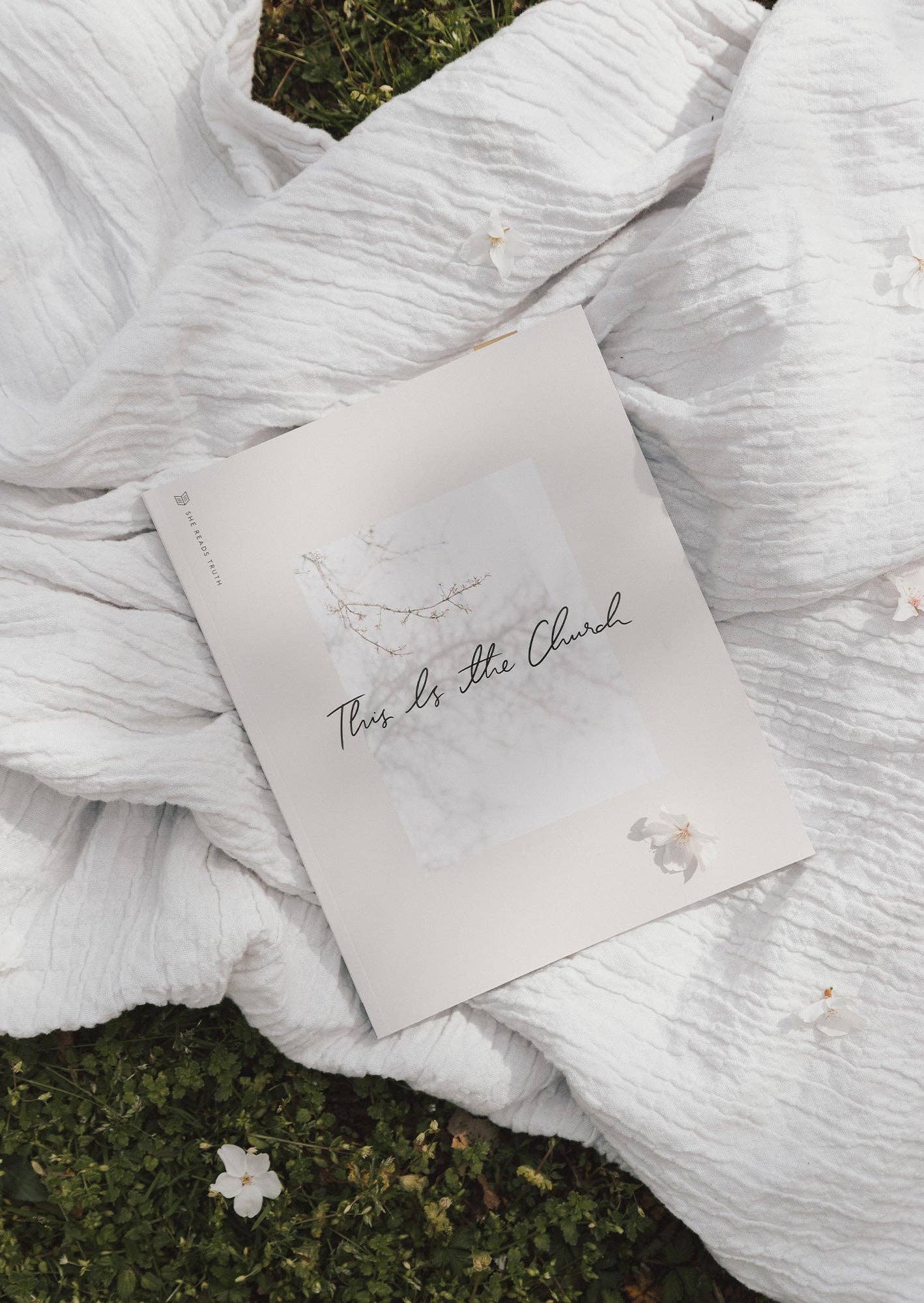 This Is the Church Study Book | She Reads Truth
