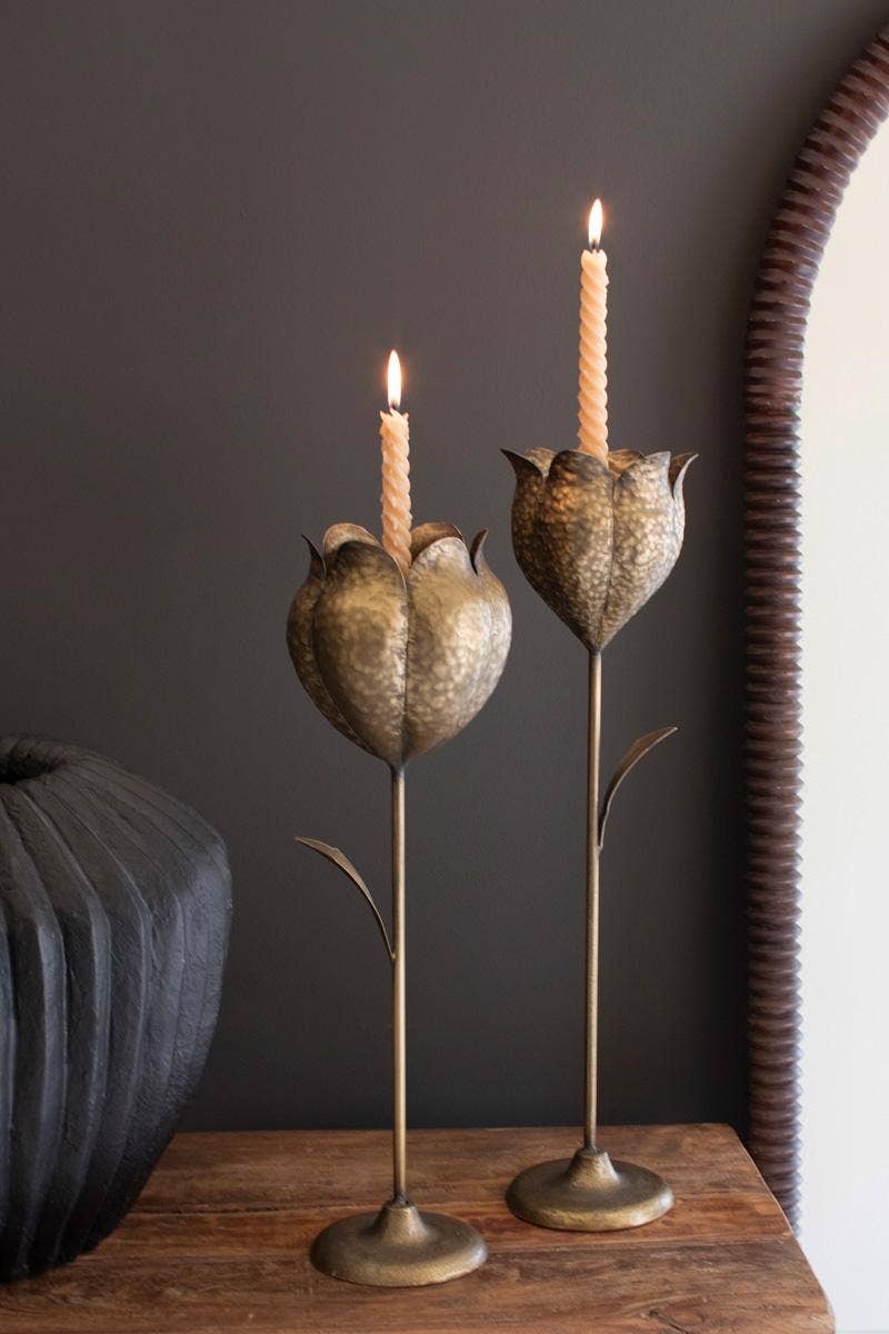 SET OF TWO ANTIQUE BRASS TULIP TAPER CANDLE HOLDERS: Gold / Metal / Large: 5" x 5.5" x 20.5"t; 
Small: 5" x 4.75" x 19"t