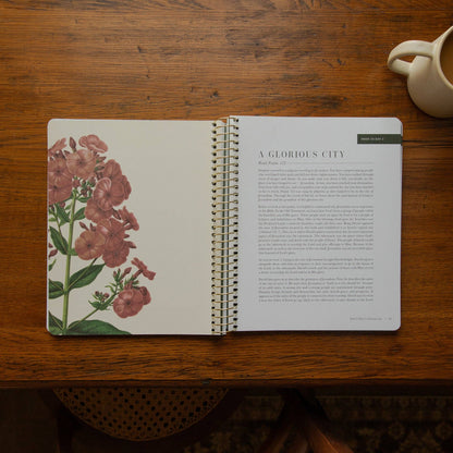 The Psalms Spiral Bible Study | Volume 3