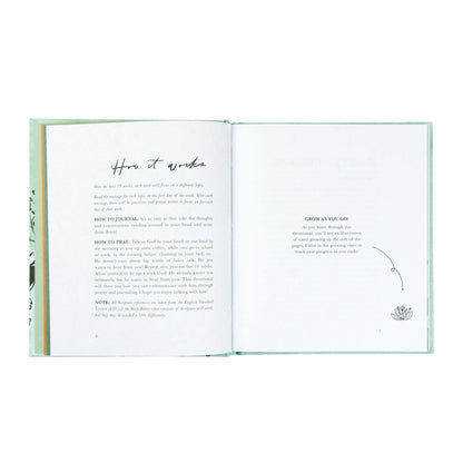 Rooted to Rise by Haley Crabtree