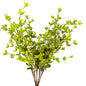 Star Blossom Bush x 7 - 24” - Green