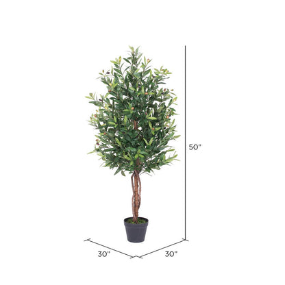 Vickerman 50" Olive Tree In Pot: Green / PE / 50"