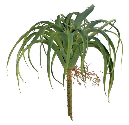 Spider Tillandsia, #FL6977-G