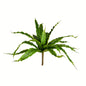 Vickerman 13" Artificial Green Bird Nest Fern Bush.: Green / Plastic / 13"