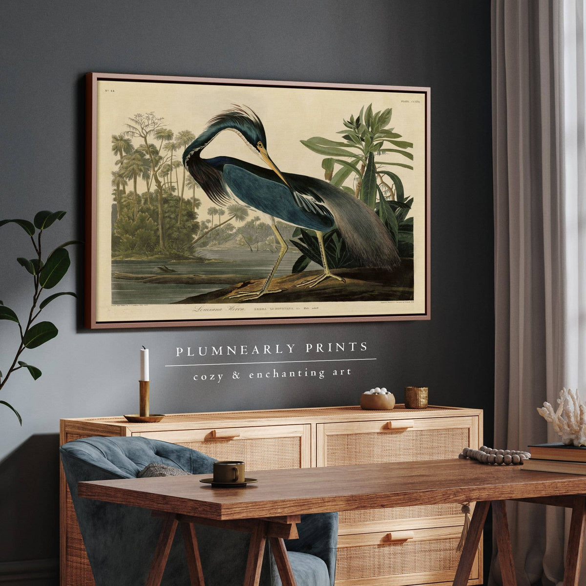 Louisiana Heron Audubon Illustration Framed Canvas Art 3: Black / 30 x 46 in